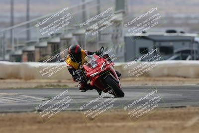 media/Mar-02-2025-Race Pace (Sun) [[8bec80ae00]]/12-Vested (Turn 2) 1111am/